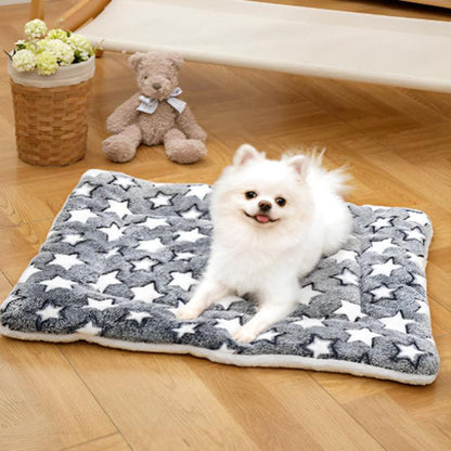 tapis-pour-chien-gris-etoiles