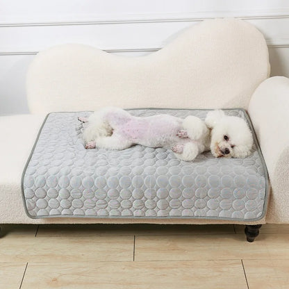 caniche sur un tapis rafraichissant pour chien beige