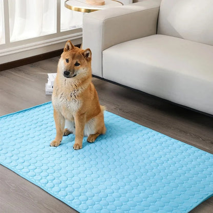 chien assis sur un tapis rafraichissant 