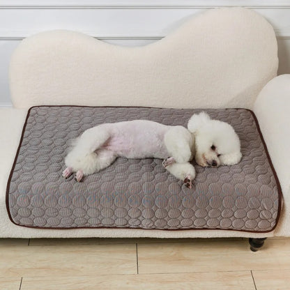 caniche sur un tapis rafraichissant pour chien choco