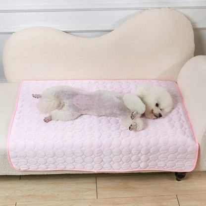 caniche sur un tapis rafraichissant pour chien rose