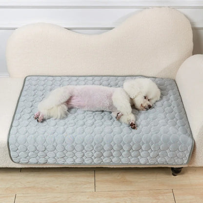 caniche sur un tapis rafraichissant pour chien