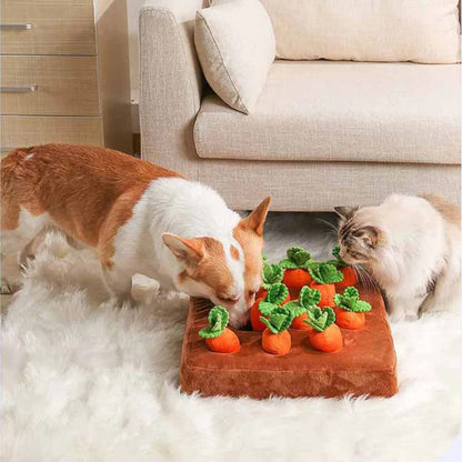 tapis-renifleur-pour-chien