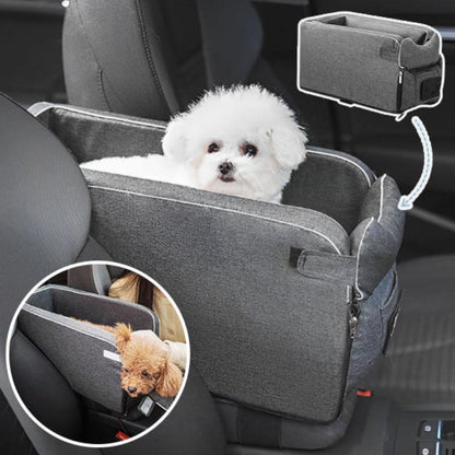 transport-chien-en-voiture-gris