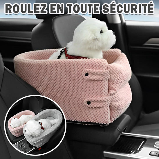 Transport chien en voiture | DrivComfort™